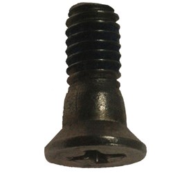 LOCKWOOD COVER PLATE SCREW 3570-5333 CP