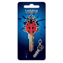 CMS 3D KEY TE2 LADYBUG