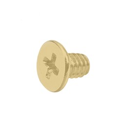 PROTECTOR 748 Series Face Plate Screw Satin Brass - 735-FPS-SBF