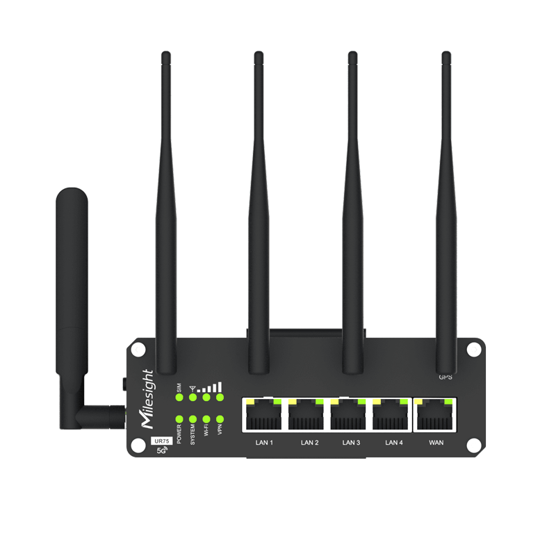 Cellular Routers