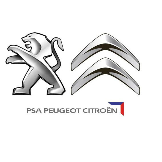 Peugeot Citroen Keys, Remotes & Keys