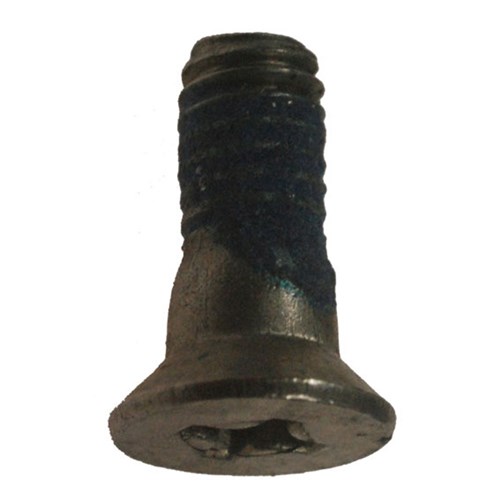 LOCKWOOD COVER PLATE SCREW 3570-5332 SS