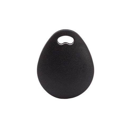 RISCO Prox Tags, Black, Pack of 10 - RP200KT0000A