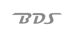 BDS logo